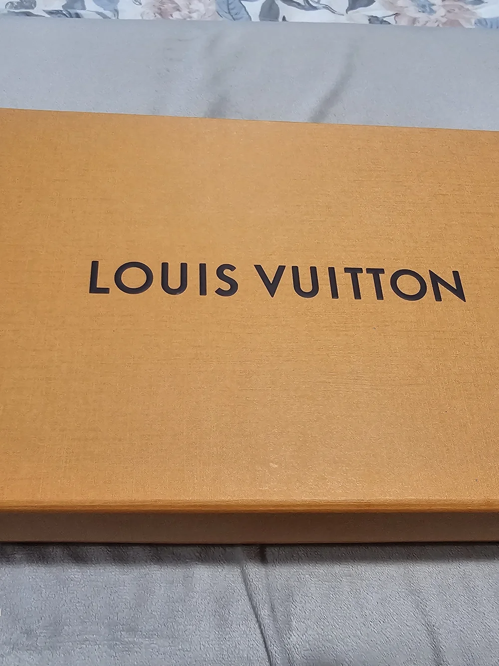 Louis Vuitton classic louis